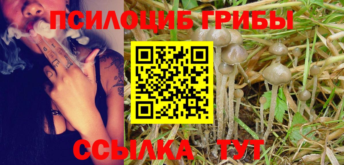 Псилоцибиновые грибы Psilocybine cubensis Железноводск