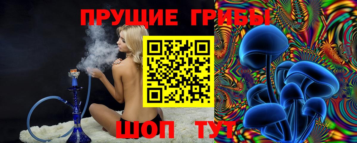 Железноводск  Галлюциногенные грибы Psilocybe  Вход с VPN 